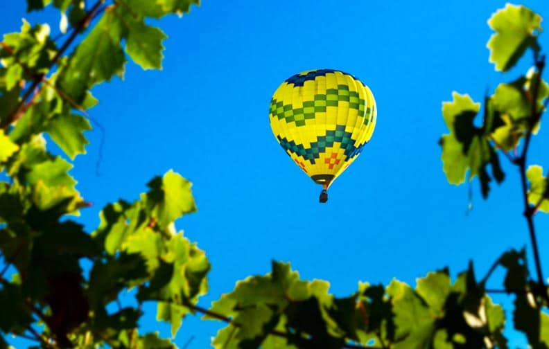 Sonoma Hot Air Balloon Wine Tour