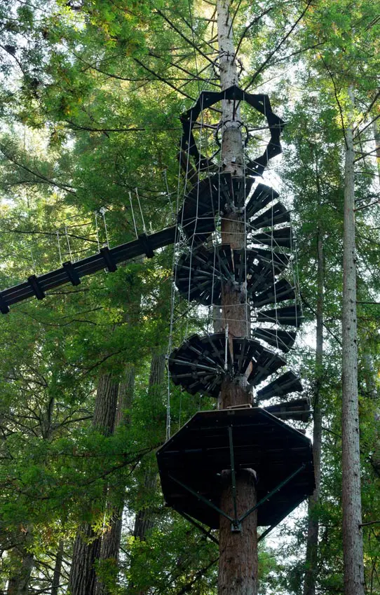 Spiral Staircase at Sonoma Canopy Tours